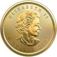 Zlatá mince Maple Leaf 1/20 Oz 2022