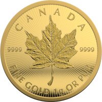Zlatá mince Maple Leaf 25x1 g 