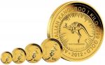 Gold coin Kangaroo 1/2 Ounce