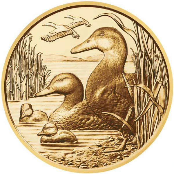 100 Euro Zlatá mince Kachna divoká