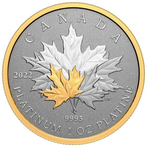 Věčný Maple Leaf 2022, 1 oz platiny