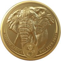 Velká pětka - Slon, 1 oz zlata, 2023